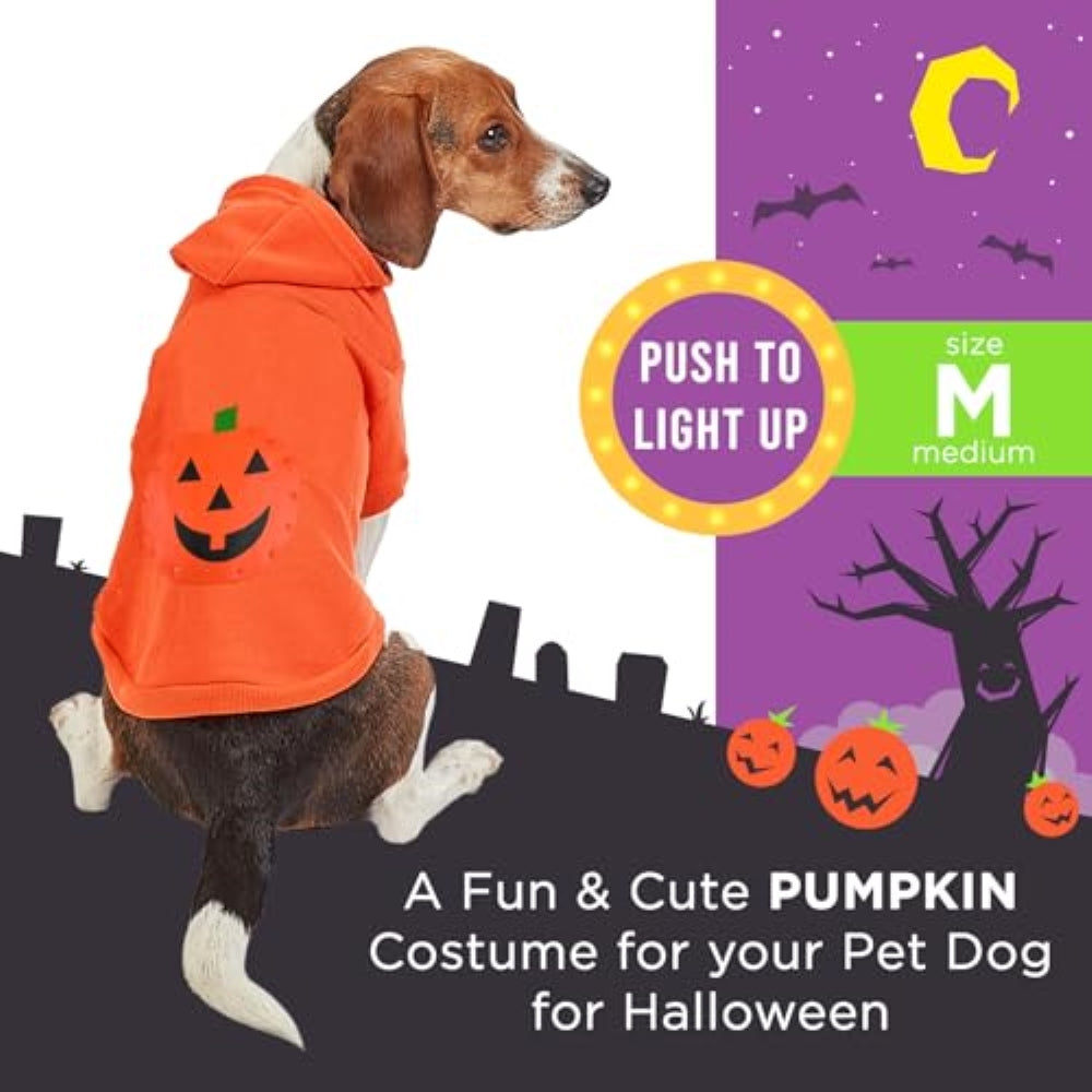 Halloween Light-Up Hoodie - Pumpkin Pet Costume, Pet Cosplay Outfits, Funny Pet Costumes - (Medium)
