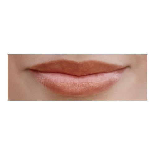 Burt's Bees 100% Natural Tinted Lip Balm, Rose with Shea Butter & Botanical Waxes - 1 Tube