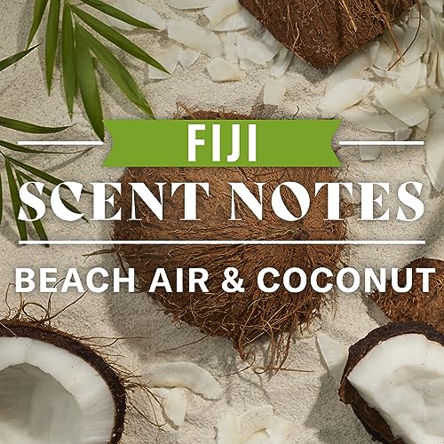 Old Spice Fiji 2-in-1 Shampoo and Conditioner for Men, 22 Fl Oz