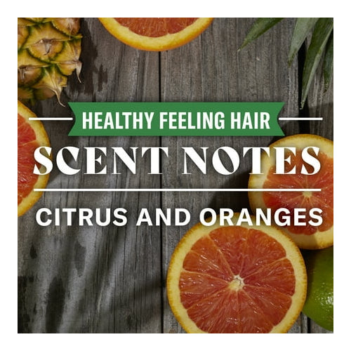 Old Spice Healthy Feeling Hair Shampoo for Men, Citrus Zest Scent with Vitamin C 22 fl oz for All Hair Types