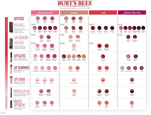 Burt's Bees 100% Natural Moisturizing Lip Gloss, Rosy Dawn - 1 Tube