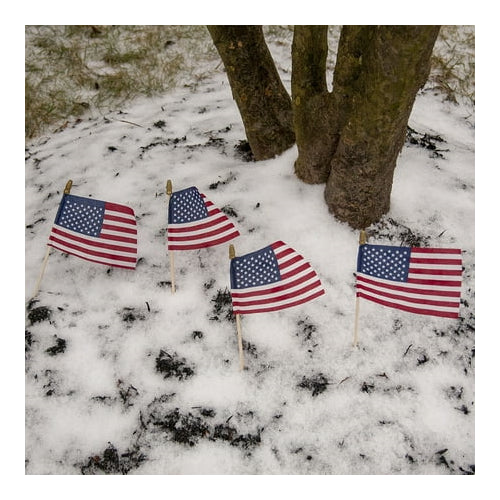 American Polycotton Stick Flag, 4" x 6" by Betsy Flags, 4-Pack