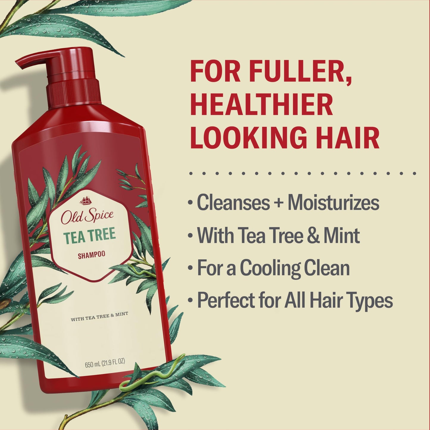 Caseeto Old Spice Reinvigorate Shampoo with Tea Tree Shampoo for Men, 650 Milliliters