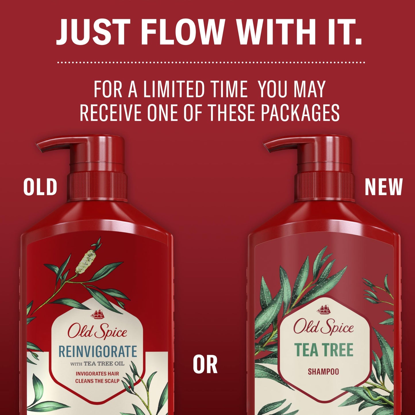 Caseeto Old Spice Reinvigorate Shampoo with Tea Tree Shampoo for Men, 650 Milliliters