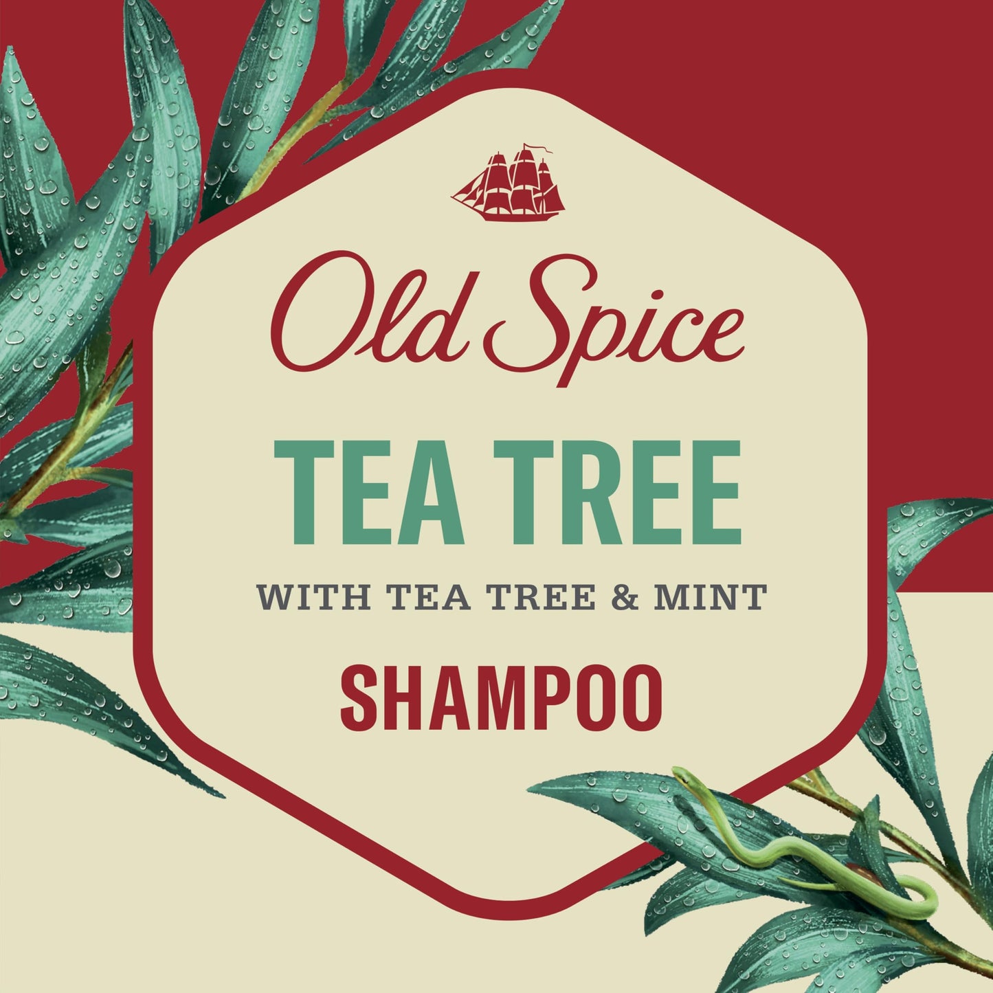 Caseeto Old Spice Reinvigorate Shampoo with Tea Tree Shampoo for Men, 650 Milliliters