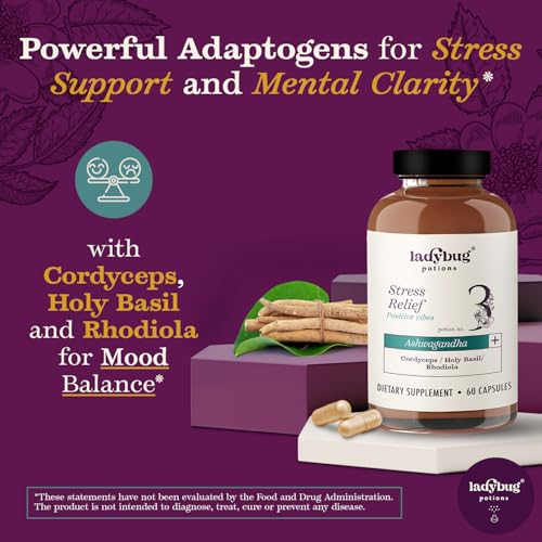 Organic Mood Pills - 60 Capsules Organic Ashwagandha Supplements for Women and Men, Ashwagandha Root Capsules with Cordyceps, Holy Basil & Rhodiola, Reduce Stress, Boosts Mood and Cognitive Function