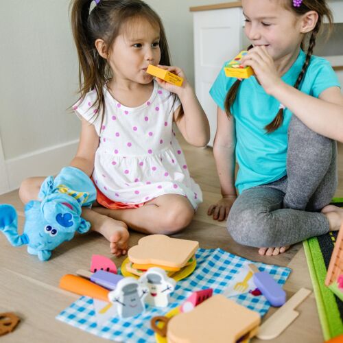 Melissa & Doug Blue’s Clues & You! Share with Blue Picnic Play Set with Hand Puppet - FSC-Certified Materials