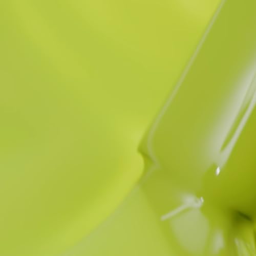 Nailtopia Bio-Sourced Chip Free Nail Lacquer Disney Collection, Evil Queen, 0.41 oz - All Natural - Vegan - Strengthening - Quick-Dry - Long Lasting - Cruelty-Free - Nail Polish