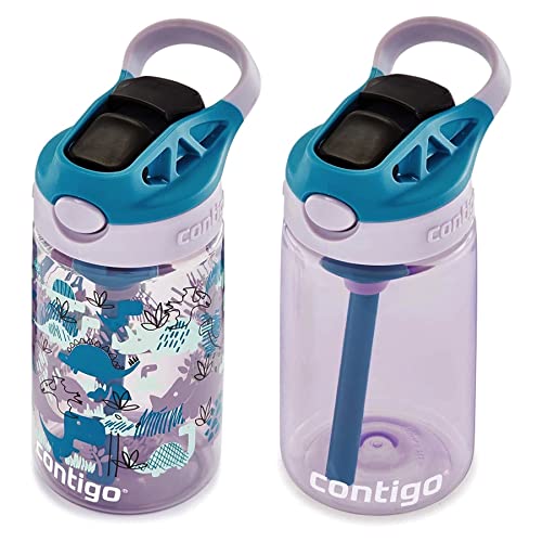 Contigo Kids 2-Pack Straw Water Bottle, 14 oz - Dinos/Taro Juniper