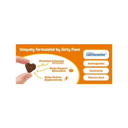 Zesty Paws Advanced Calming Bites for Behavior Turkey Flavor 2 Pack