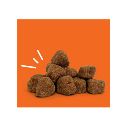 Zesty Paws Advanced Calming Bites for Behavior Turkey Flavor 2 Pack