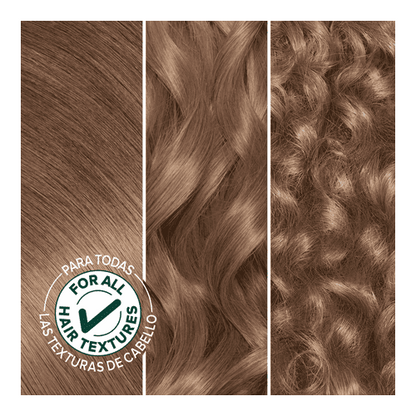 Garnier Nutrisse At Home Hair Coloring Tool Kit, 811 Medium Extra Ash Blonde
