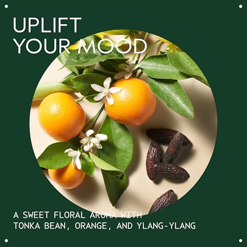 Aveda Cherry Almond Softening Shampoo | Gentle Daily Shampoo | for Normal to Dry Hair | 97% Naturally Derived* | Silicone Free | Iconic Cherry Almond Aroma of Tonka, Orange, Ylang Ylang, 8.5 Fl Oz