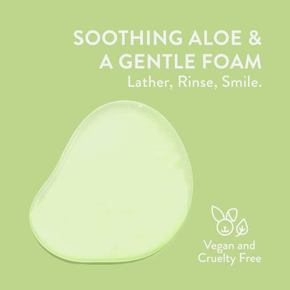 Native Sensitive Face Wash, Spa Day Every Day Facial Cleanser (2 Pack) | Daily Face Cleaner with Aloe and Vitamin B3, Unscented, 12 fl oz