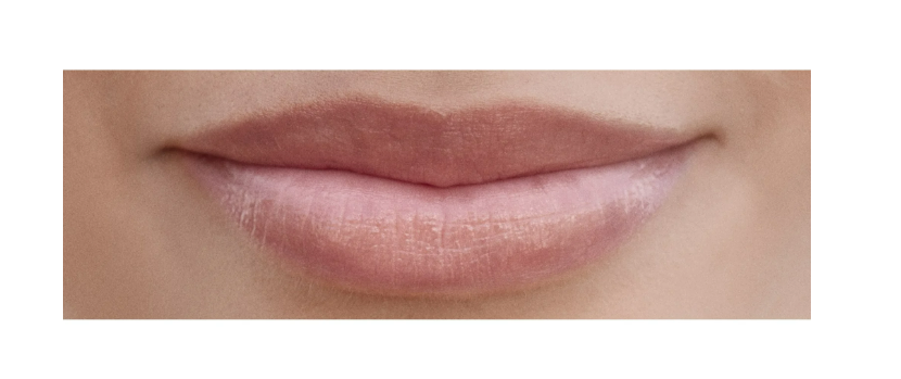 Burts Bees 100% Natural Tinted Lip Balm, Pink Blossom with Shea Butter & Botanical Waxes 1 Tube