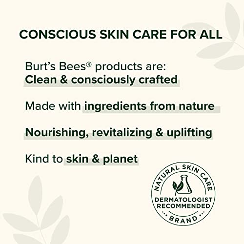 Burt's Bees Beeswax Lip Balm, Lip Moisturizer With Responsibly Sourced Beeswax, Tint-Free, Natural Conditioning Lip Treatment, 1 Tube, 0.15 oz.