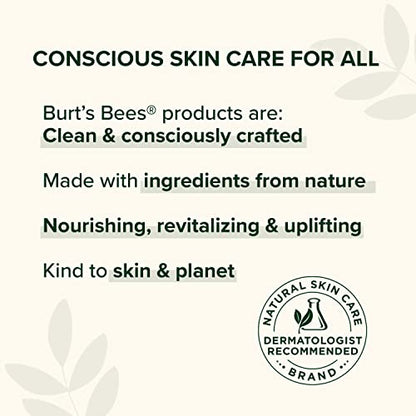Burt's Bees Beeswax Lip Balm, Lip Moisturizer With Responsibly Sourced Beeswax, Tint-Free, Natural Conditioning Lip Treatment, 1 Tube, 0.15 oz.