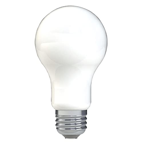 GE LED Light Bulbs, 100 Watt, Daylight, A19 (2 Count)
