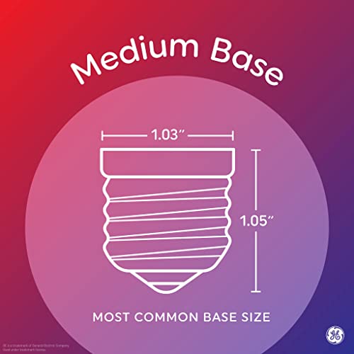 GE LED Light Bulbs, 100 Watt, Daylight, A19 (2 Count)