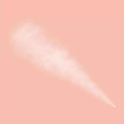 FLOWER Beauty By Drew Barrymore Jet Set Invisible Setting Powder Spray - Translucent + Matte Finish - Absorps Oil + Controls Shine - Universal Shade - Long-Lasting Makeup All Day - Gluten-Free + Vegan