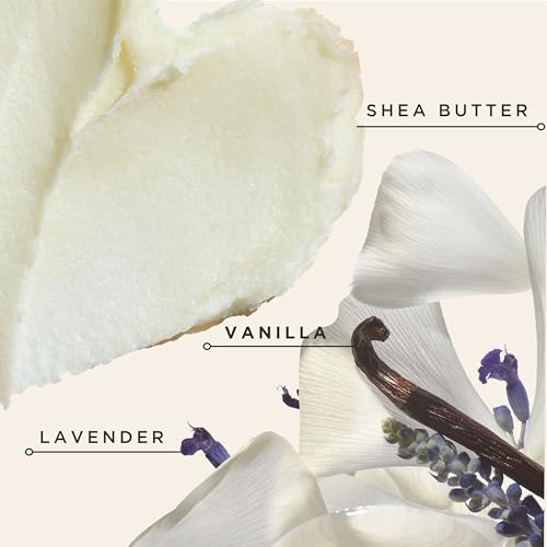 Carol's Daughter Black Vanilla Moisture Sulfate Free Conditioner for Curly, Wavy or Natural Hair, Moisturizing Hair Care for Dry, Damaged Hair, 12 Fl Oz