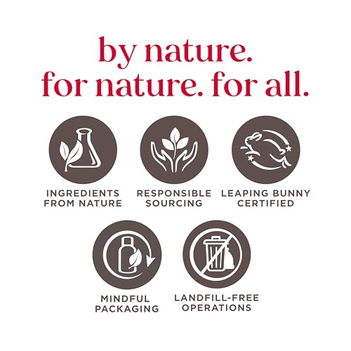 Burt's Bees Lip Balm Stocking Stuffers, Moisturizing Lip Shimmer Holiday Gift for Women, with Vitamin E & Coconut Oil, 100% Natural, Champagne, 0.09 Ounce