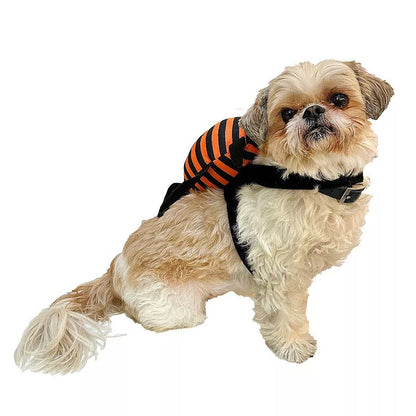 Woof Halloween Spider Rider Pet Costume Large/X-Large