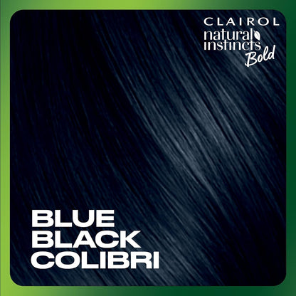 2pk Clairol Natural Instincts Bold Permanent Hair Color BL28 Blue Black Colibri
