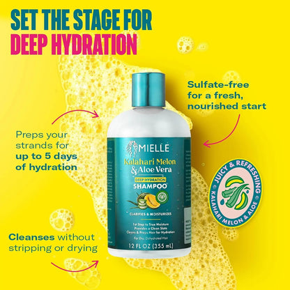 Mielle Organics Kalahari Melon Aloe Deep Sulfate Free Shampoo Hydrating Clarifying Shampoo for Dry Curly Textured Hair Removes Buildup Delivers 5 Days of Moisture 12 Ounce
