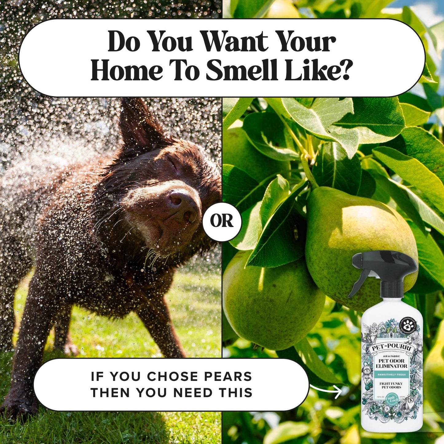 Pet-Pourri Air & Fabric Pet Odor Eliminator Spray Pawsitively Fresh 16oz 2 Pack