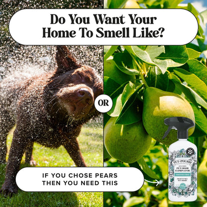Pet-Pourri Air & Fabric Pet Odor Eliminator Spray Pawsitively Fresh 16oz 2 Pack