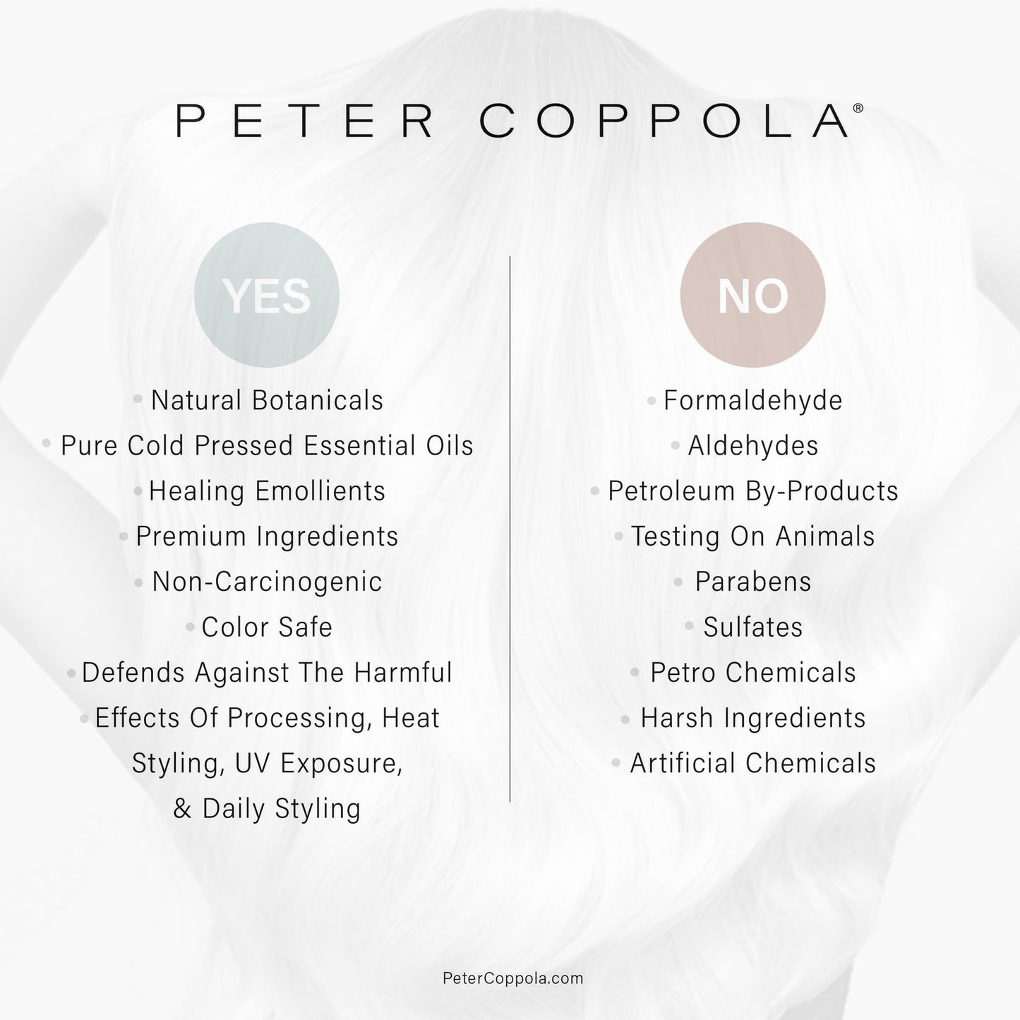Peter Coppola Blondest Purple Shampoo & Conditioner Set Blonde Silver Hair 12oz