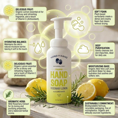 Hand In Hand Rosemary Lemon Foaming Hand Soap 8.5oz Aloe & Birch Water 2 Pack