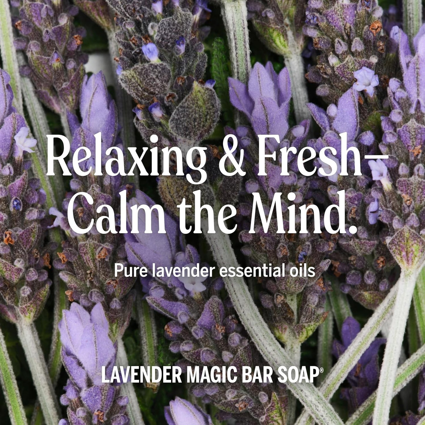 Dr.Bronner's Magic Bar Soap, Lavender, Pure-Castile Soap, 5 oz