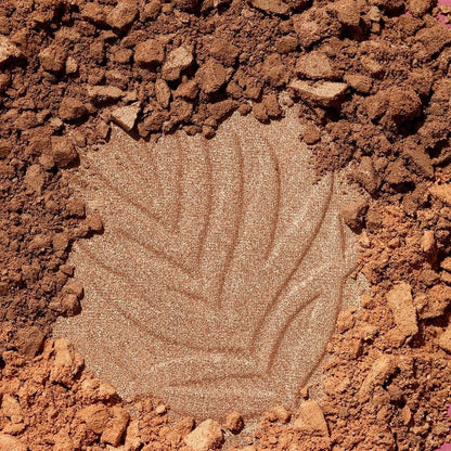wet n wild Color Icon Bronzer Powder Sunset Striptease 742B 0.38oz