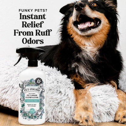 Pet Pourri Air Fabric Pet Odor Deodorizer Spray Pawsitively Fresh 16 Fl Oz