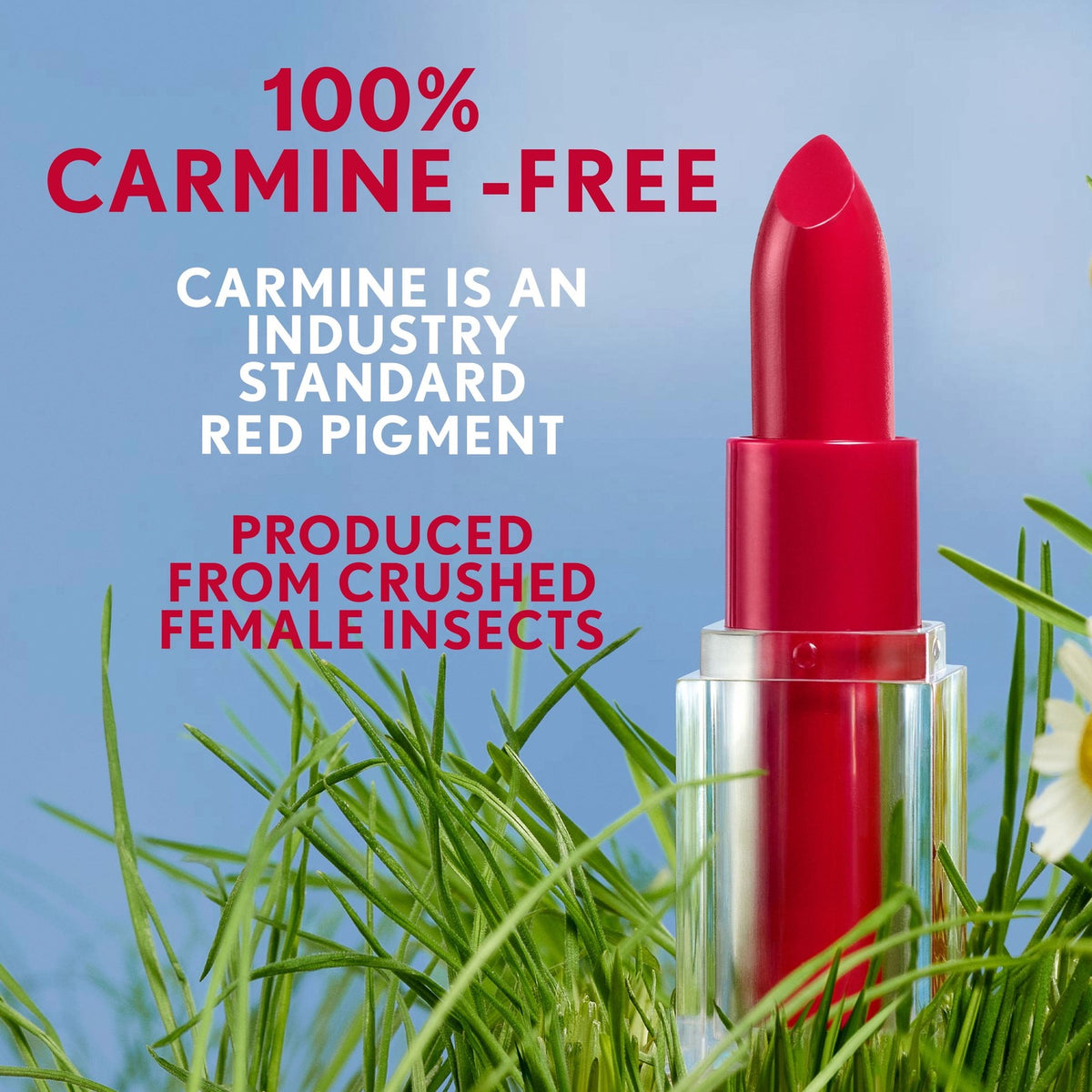 COVERGIRL Clean Lip Color, 330 Maple Glaze, 0.12 oz
