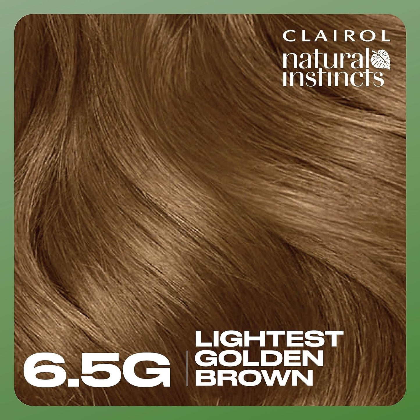 Clairol Natural Instincts Demi-Permanent Hair Dye, 6.5G Lightest Golden Brown
