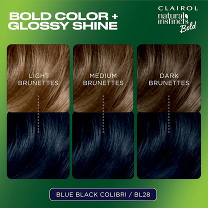 2pk Clairol Natural Instincts Bold Permanent Hair Color BL28 Blue Black Colibri