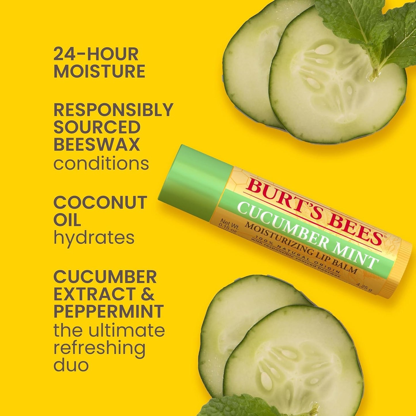 Burt's Bees 100% Natural Lip Balm 4 Pack Beeswax Cucumber Coconut Vanilla Bean