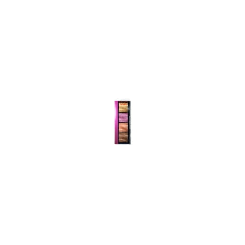 Revlon So Fierce! Prismatic, Long Lasting Matte and Pearl Cream Eyeshadow Palette, 966 The Big Bang